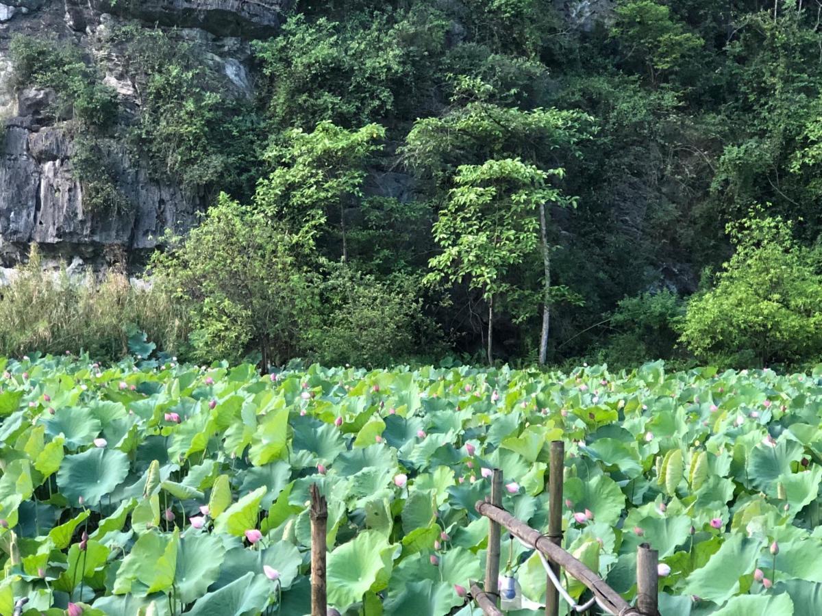 Trang An River View Homestay Ninh Binh Buitenkant foto